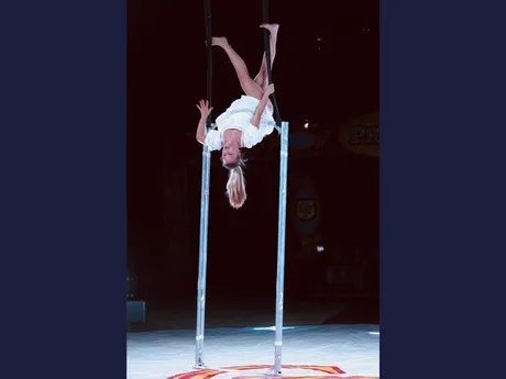 Scenic Circus: Diaries in Motion