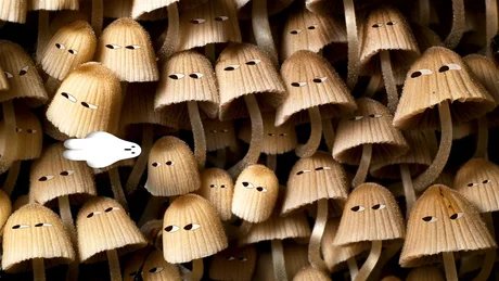 Strangers with Hats by Petra Stipetić and Karolin Twiddy 