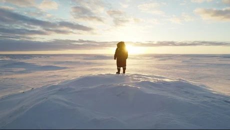The Past and the Future of the Arctic by Hans Pieski