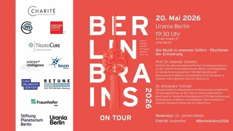 BerlinBrains Bluesky