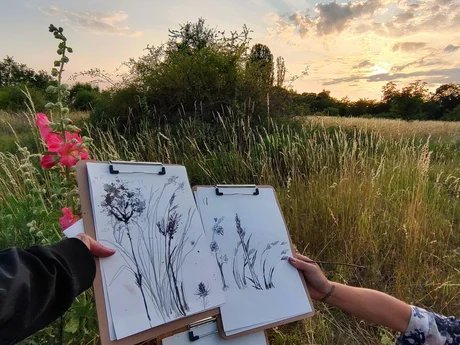 Kratic-Workshop zum experimentellen botanischen Zeichen auf dem Tempelhofer Feld