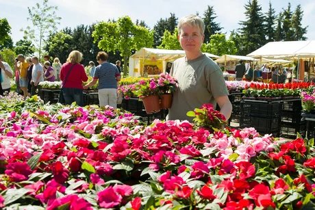 Späther-Frühling Balkonpflanzen