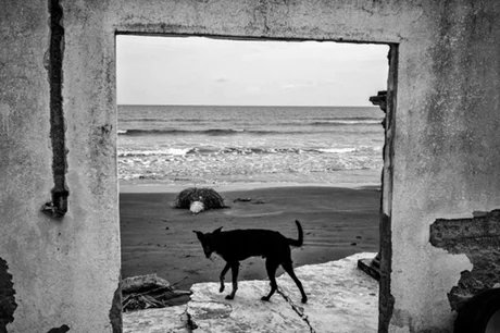 genid-66bd5bdb641047d8ad0a83edd26b83f521542801-b7