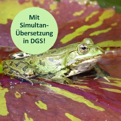 genid-66bd5bdb641047d8ad0a83edd26b83f523896206-b5