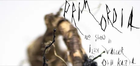 PRIMORDIA - Duo show 