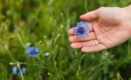 Durchatmen im Grünen - Was grüne Rückzugsorte für unsere Gesundheit tun