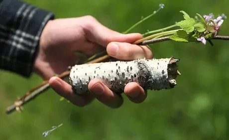 Feldbaden: Erholung finden in der Stadtnatur