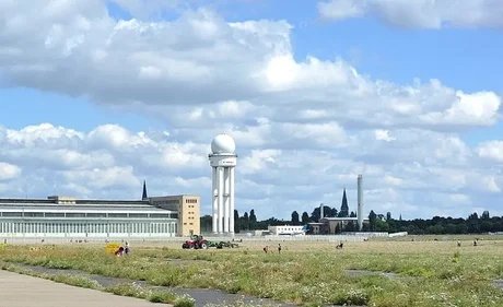 Das wilde Summen des Tempelhofer Feldes - Spannende Einblicke in das Leben der Wildbienen