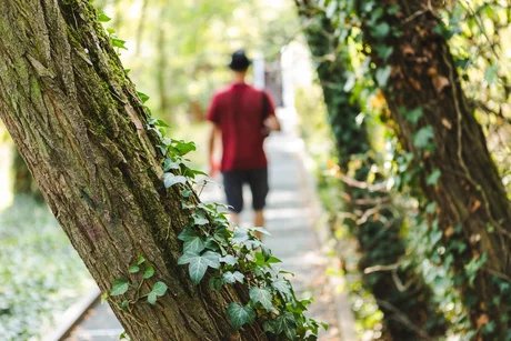 Botanischer Streifzug im Natur Park Südgelände