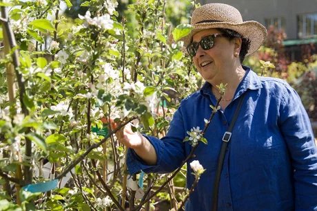 Gartenmarkt und Frühlingsfest "Späth'er Frühling"