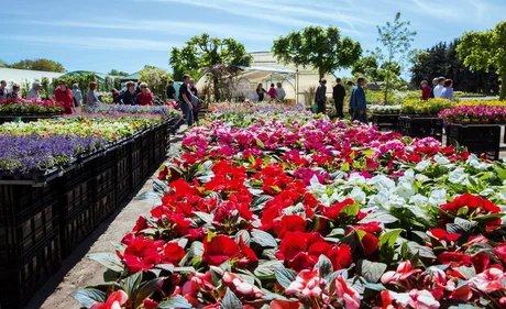 Gartenmarkt und Frühlingsfest "Späth'er Frühling"