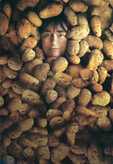 Untitled Image - genid-66bd5bdb641047d8ad0a83edd26b83f57592440-b5