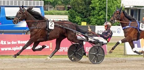 Robin Bakker und Blizzard Diamant
