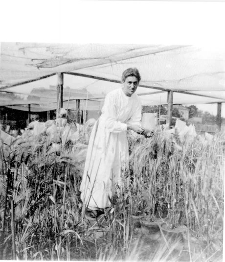 Elisabeth Schiemann um 1925.