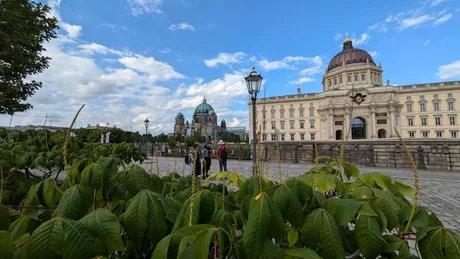 Führung Schloss Museumsinsel