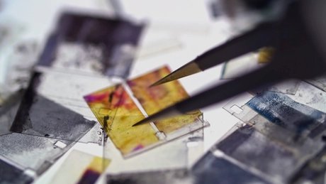 Miles Rufelds, It’s Not Brakhage, 2024, video, 54:39 min (video still)
