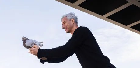 Maurizio Cattelan, 2026, Detail
