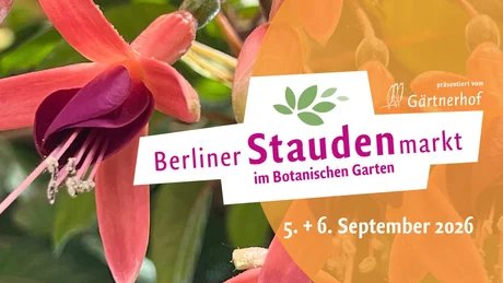 Berliner Staudenmarkt 