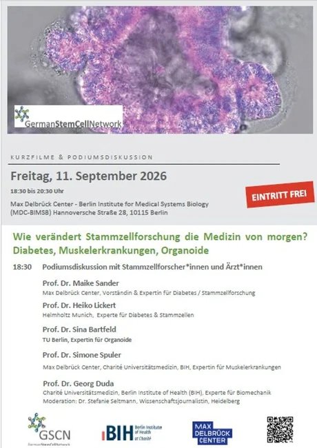 Wie verändert Stammzellforschung die Medizin von morgen?