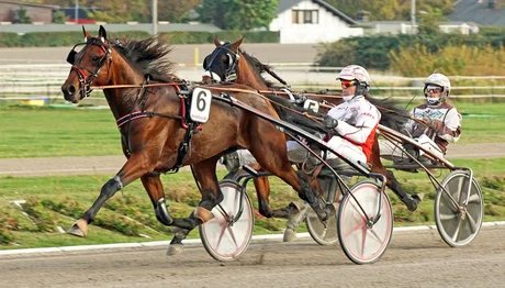 Start frei für das Traber-Derby