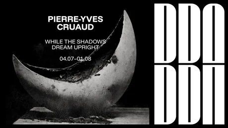 While the Shadows Dream Upright