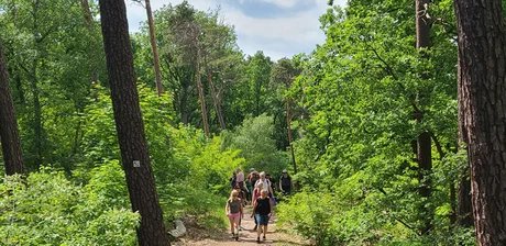 Wanderung im Grunewald
