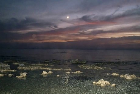 Dreamers bay, 2026