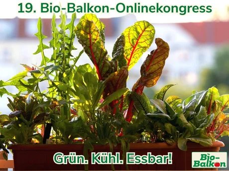 genid-cd3aabd8d9c24bdaa69e564475fc509c128876827-b4