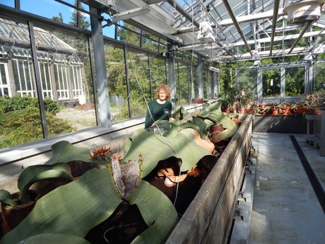 Botanischer Garten
