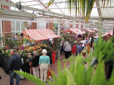 Orchideenausstellung im Neuen Glashaus des Botanischen Gartens