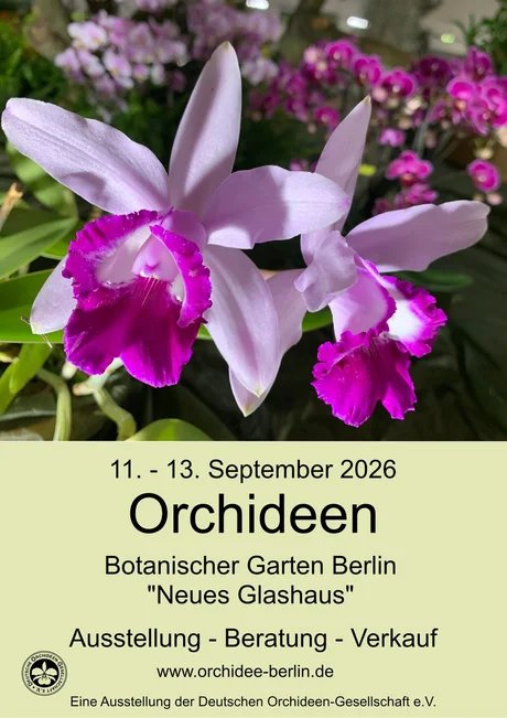Orchideenausstellung im Neuen Glashaus des Botanischen Gartens
