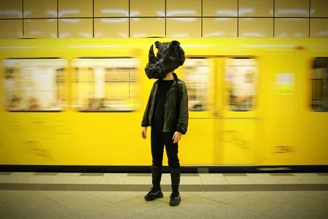 Rhinozeros – ein Comeback