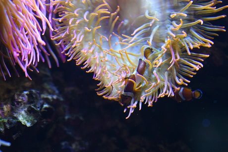 POOL – MOVEMENT ART FILM Festival Berlin