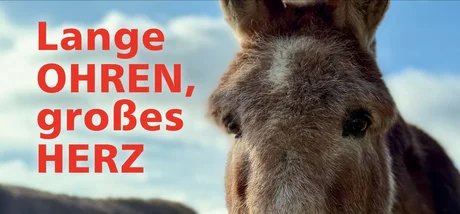 Lange Ohren, großes Herz