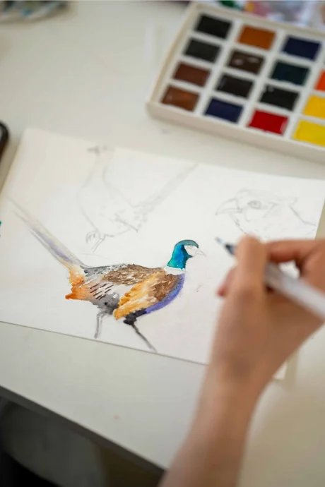 Skizzentagebuch für Vogelbeobachter