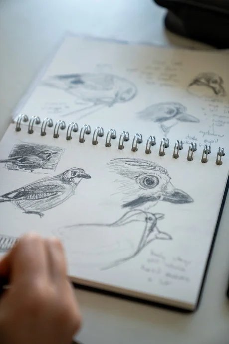 Skizzentagebuch für Vogelbeobachter