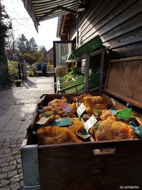 Tour Draußen in Dahlem