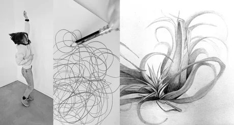 Drawing Camp
