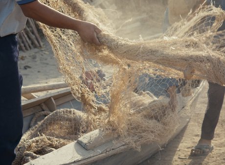 Daniel Asadi Faezi & Mila Zhluktenko, Aralkum, 2022
