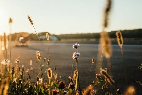 Sch(l)au genau: Geheimnisvolle Wunderpflanzen – Workshop für Schulklassen 2-10
