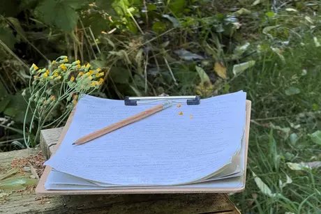 Nature Writing - einfach ausprobieren!