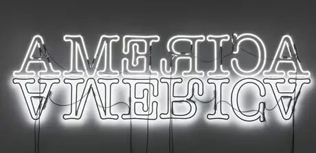 Glenn Ligon, Double America, 2012