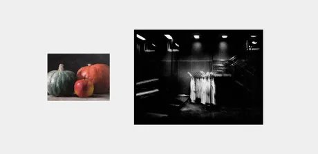 Frank Tornow, Sombra, Hokkaido und Apfel, 2025, Öl auf Holz, / Kai Bornhöft, True Colours, 2005, Barytpapier
