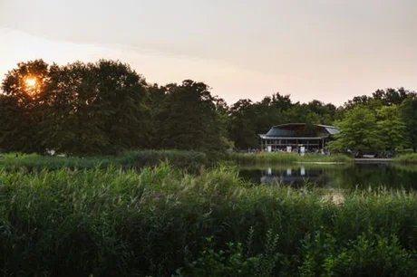 SonntagsKult am See: Musical-Revue Summer Stars
