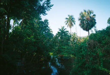 Yann Olivier Kersaint, Vision Tropicale, Petite Rivière des Nippes, Haiti, 2026
