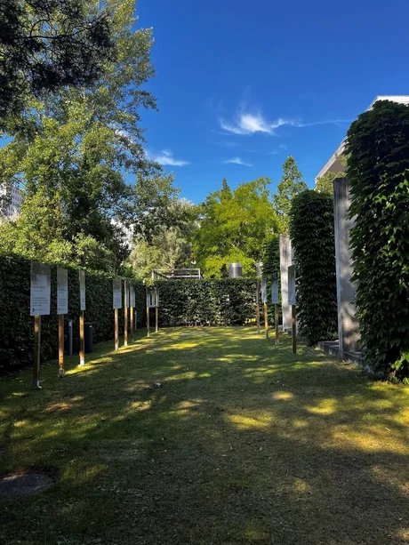 Garten der Landesvertretung Brandenburg