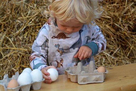 Brandenburger Biofest 