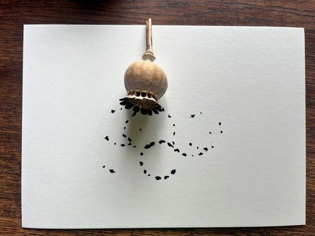 Öffentlicher Workshop: Kalligrafische Spuren in der Natur