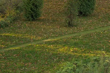 Ima-Abasi Okon, Easement, 2025, Installationsansicht, Haus am Waldsee