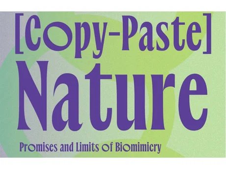 Copy-Paste Nature: Promises and Limits of Biomimicry
